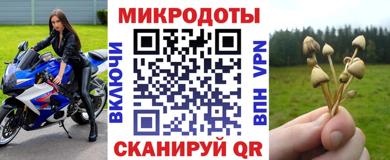 как найти закладки  Волгодонск  Псилоцибиновые грибы Psilocybe 